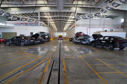 日均撞廢兩輛車，比亞迪公開(kāi)實(shí)驗(yàn)室背后的安全密碼與行業(yè)啟示